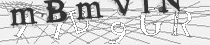 Captcha 6c2ENK